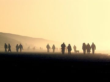 Fan out by Hans Heemsbergen