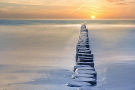 Groyne in Zingst aan de Oostzee. De kribben reiken tot in de zee. Landschapsfoto van Martin Köbsch