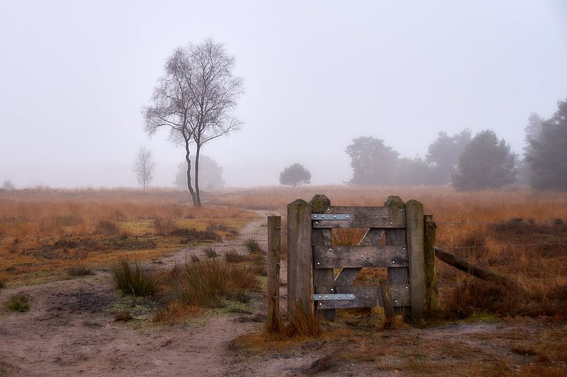 Paysage de landes hivernales par Ad Jekel
