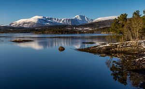 Norwegische Frühlingslandschaft von Adelheid Smitt