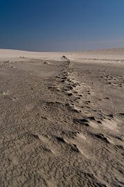 Sand and Wind by Jaco Visser