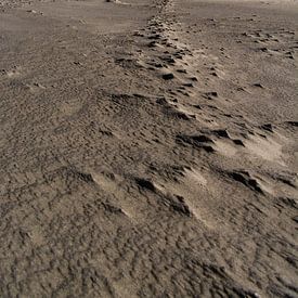 Zand en Wind van Jaco Visser