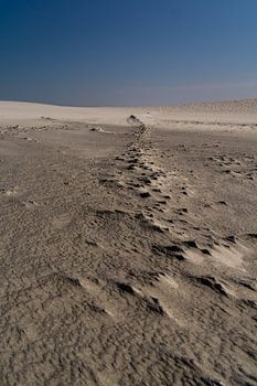 Zand en Wind