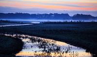 zonsopgang nabij de Nettelhorster Laak