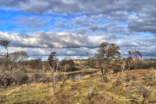 Winter Amsterdamse Waterleidingduinen