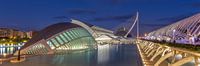 City of Arts and Sciences, Valencia - 5