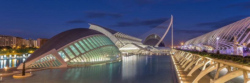 City of Arts and Sciences, Valencia - 5 van Tux Photography