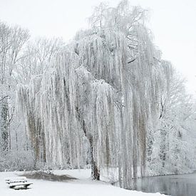 Winters landschap sur Fons Brekelmans