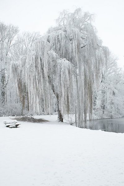Winters landschap par Fons Brekelmans