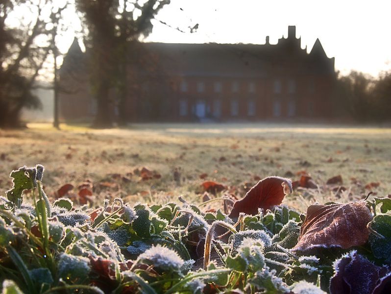 Le gel dans le parc du château par Edgar Schermaul