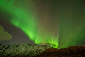 Noorderlicht boven besneeuwde bergen van Hoven Fotografie