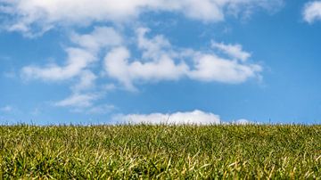 Seedeich und niederländischer Himmel von Fotografiecor .nl