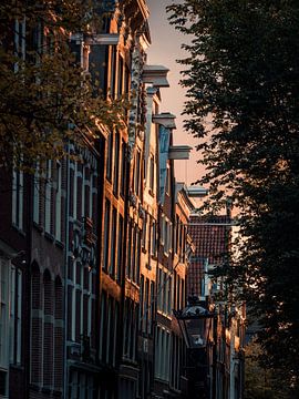 Façades d'Amsterdam #1