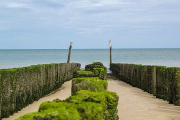 Strand von Bjorn Brekelmans