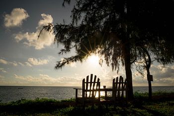 Wegdromen op Zanzibar