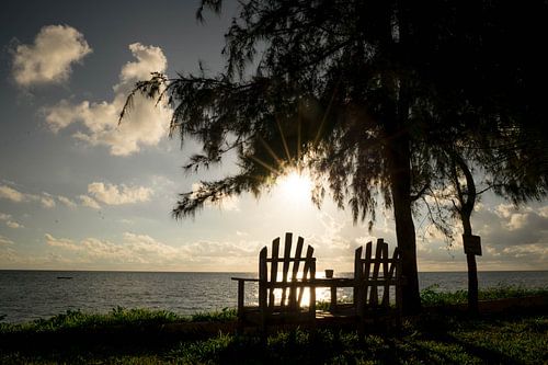 Träumen auf Sansibar von Suzanne van Dijk