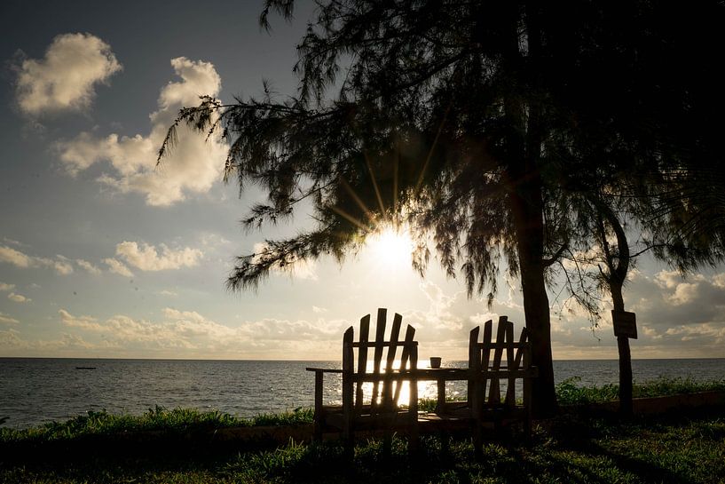 Rêver sur Zanzibar par Suzanne van Dijk