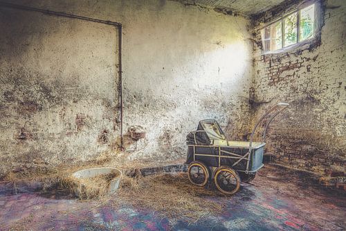 Poussette dans l'étable