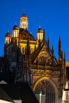 Die Kathedrale des Heiligen Johannes bei Nacht (2) von Goos den Biesen