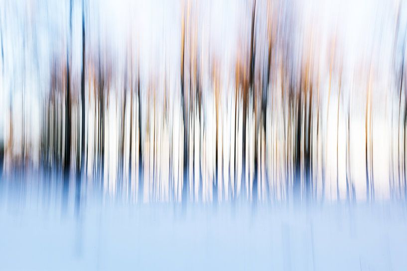 Dezember von Diane Cruysberghs