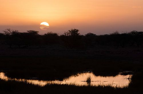 Zonsondergang in Etosha NP