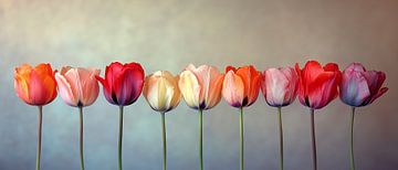 Tulpen Panorama van Preet Lambon