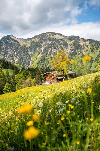 Mooie Gerstruben op het Trettachtal in de lente met prachtige bloemen