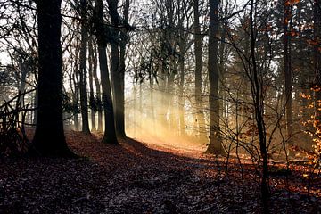 De zon kijkt om het hoekje.