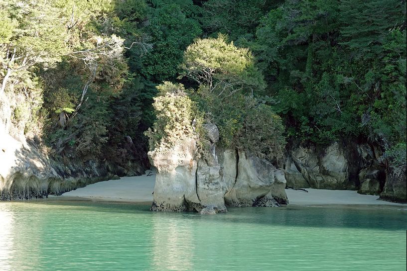 Elephant rock in the Abel Tasman National Park in New Zealand by Aagje de Jong
