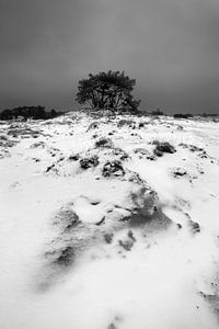 Sneeuw en Zand III van Mark Leeman