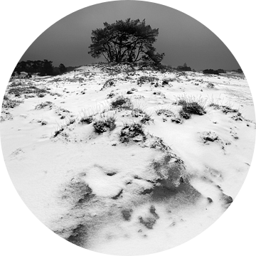 Sneeuw en Zand III van Mark Leeman