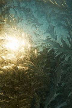 Eisblumen mit Sonnenaufgang von Fred Roest