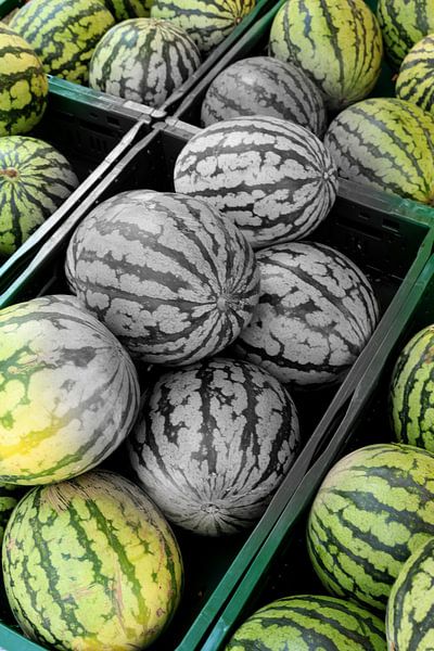 Maluni von Hannahs Wereld