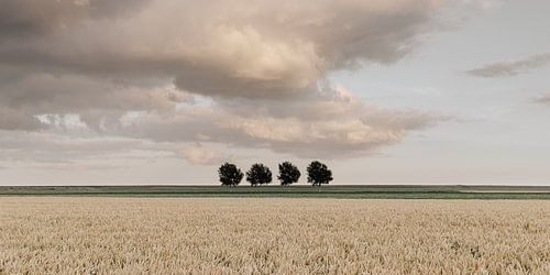 Soirée d'été dans le polder de Johannes Kerkhoven