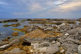 Raukgebiet Digerhuvud auf Gotland von Karin Jähne