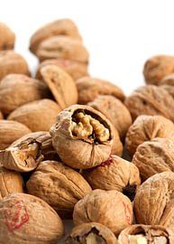 Lebensmittel-Notizen149