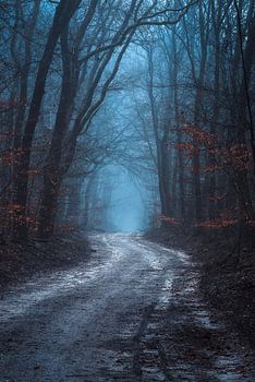 Der Weg von König Winter