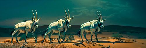 Spaziergang durch die Wüste