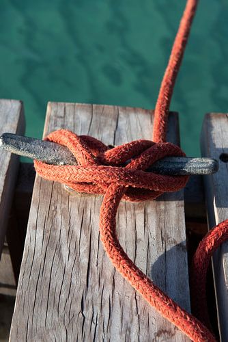 Hold on. Safe at the dock.