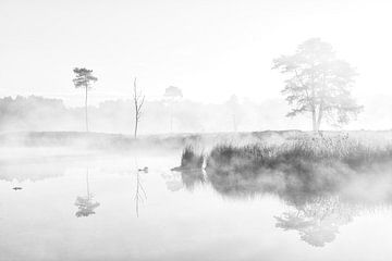 Magical misty morning by Judith Linders