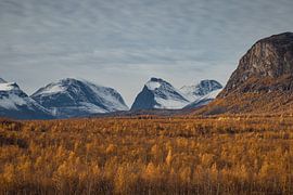 Kebnekaise en automne