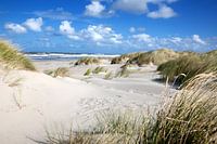 Ameland  duinlandschap bij Buren op een zomerdag