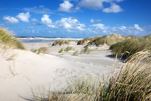 Ameland  duinlandschap bij Buren op een zomerdag