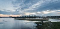 Hoogwater Avelingen