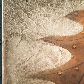 Natural composition of drops, ice and tree leaf by Lisette Rijkers