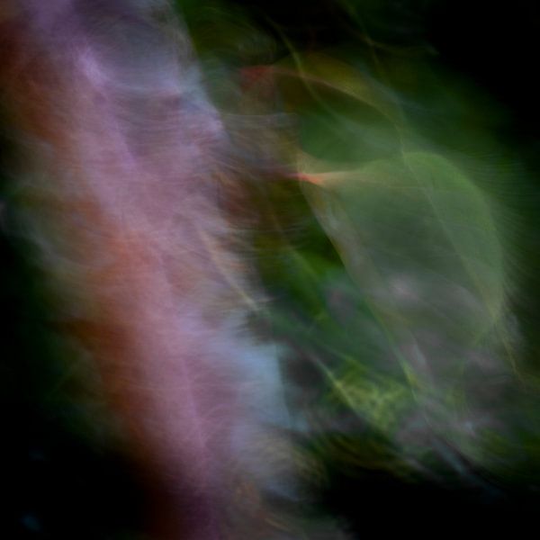 Herfst II van HANS VAN DAM