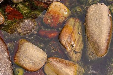 des pierres dans un bassin de marée IV sur Ralph Jongejan