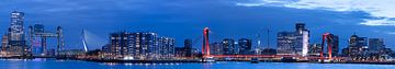 otterdam Skyline – Stadslicht aan de Maas van Hendrik Karremans