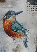 IJsvogel