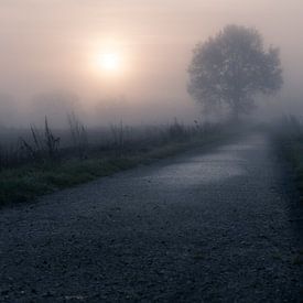 the lone oak by Yorick De Wilde